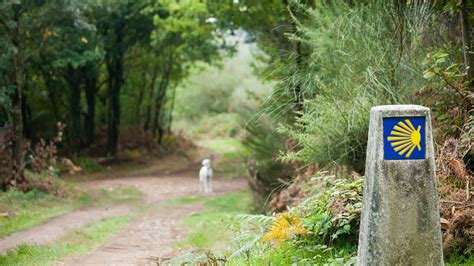 Looking for the best hiking in Spain? Galicia has much more to offer besides the Camino | Euronews