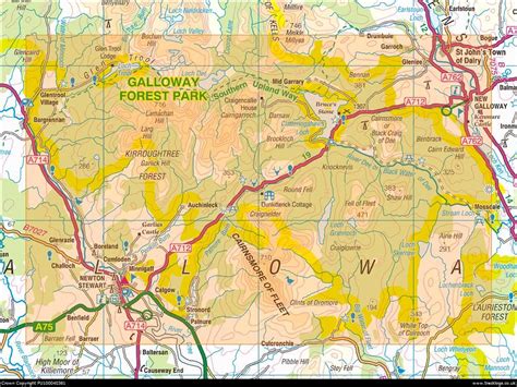 Galloway Forest Park | Scottish Landscape