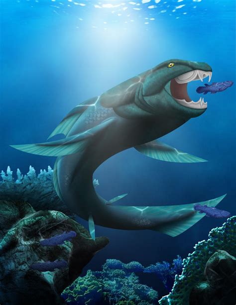 DUNKLEOSTEUS by Gabe666 on DeviantArt