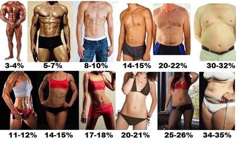 How to Calculate Your Body Fat Percentage – Cronometer