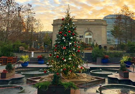 Where to See Beautiful Christmas Trees Around DC