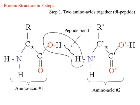 PPT - Computational methods in molecular biophysics (examples of solving real biological ...