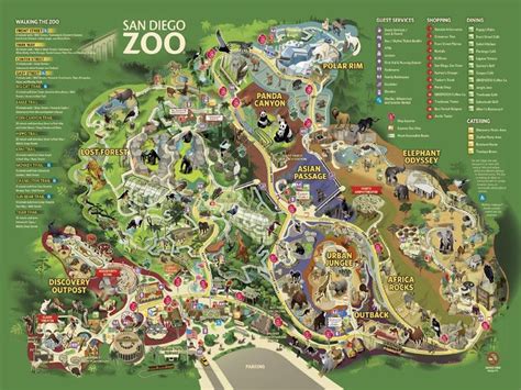 San Diego Zoo Map | Zoo map, Visit san diego, San diego zoo