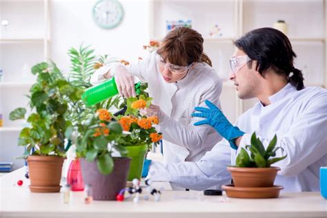 Scientist Botanist Stock Images - Download 517 Royalty Free Photos