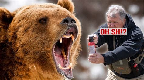 Lee's Grizzly Attack Insurance Fund - Life Insurance Quotes