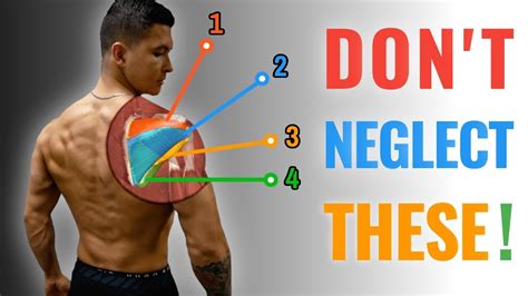 The Best Rotator Cuff Strengthening Routine (BULLETPROOF YOUR SHOULDERS) - YouTube