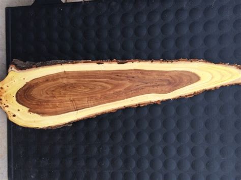 39 x 11 inch Siberian Elm Wood Slab