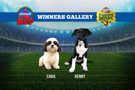 Puppy Bowl MVP Photos | Puppy Bowl | Animal Planet