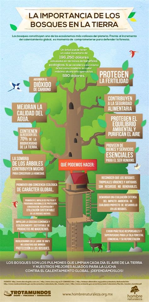 Infografía - Todo Sobre El Medio Ambiente