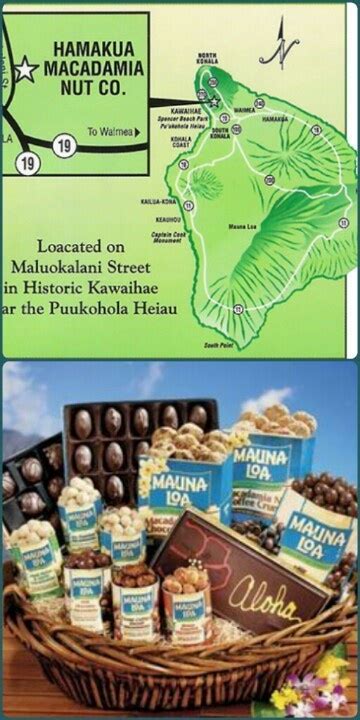 Hamukua Macadamia Nut Factory Free tours! Mauna Loa Macadamia | Hawaiian vacation, Hawaii island ...