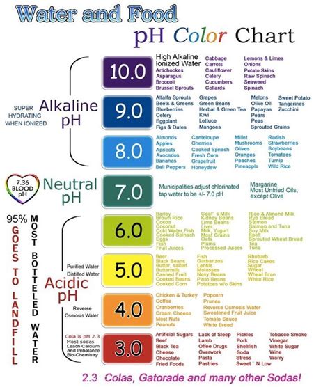 💦 ️I love this chart ️💦 It’s a pH chart for dummies and helps keep me ...