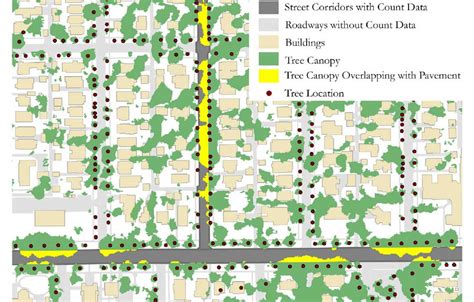 Tree canopies make us safe; Here’s how to grow them throughout cities | CNU