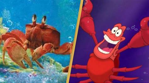 People’s minds blown after first look of Sebastian in live action ...