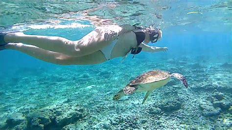 3 Gili Lombok Snorkeling Tour: Gili Trawangan, Gili Meno, Gili Air