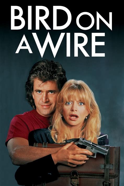 Bird on a Wire (1990) - Posters — The Movie Database (TMDB)