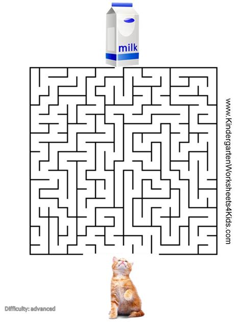 Cat Mazes