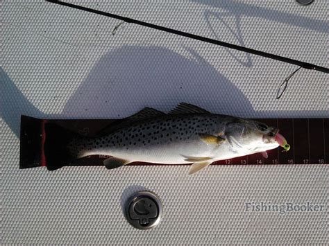 Atlantic Beach Fishing Reports - FishingBooker.com