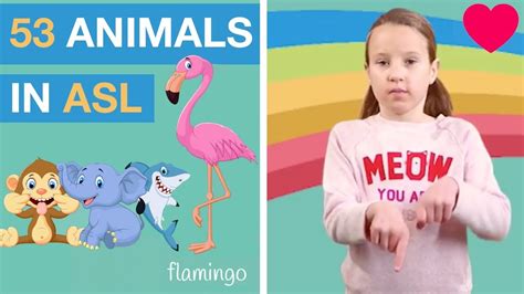 Sign Language Animals - Learn 53 Signs in ASL - YouTube