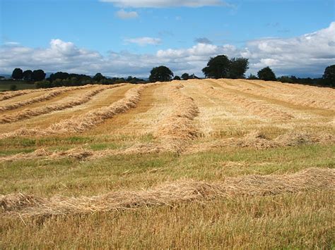 Arable farming © Norma Foggo :: Geograph Britain and Ireland