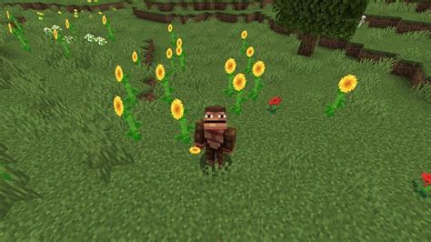 Where to find Minecraft sunflowers