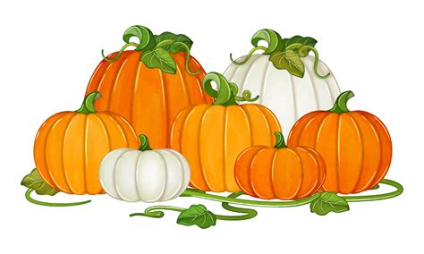 Watercolor Pumpkins with vines fall clipart 11190861 PNG