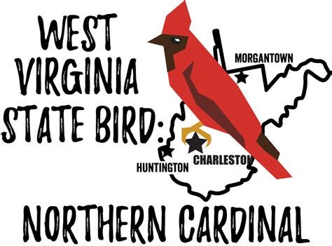 West Virginia State Bird - Bird Watching Academy