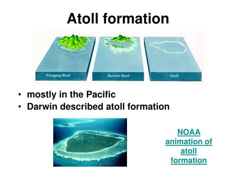 PPT - Coral reefs Chapter 9 PowerPoint Presentation, free download - ID:5316536