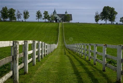 A Beautiful Lexington Horse Farm Stock Image - Image of kentucky, farm ...