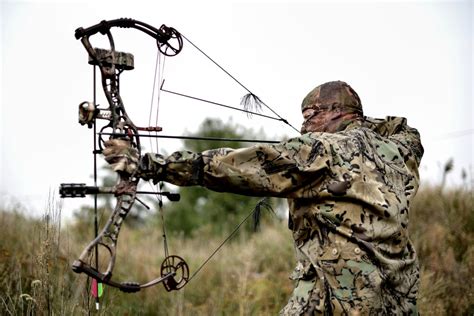 A beginner's guide to setting up and maintaining your bow and arrows ...