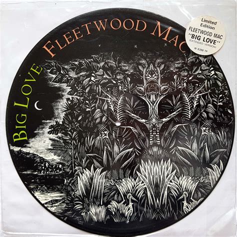 Fleetwood Mac - Big Love (Vinyl, 12", 45 RPM, Single, Limited Edition ...