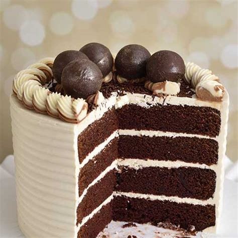 Simple Chocolate Cake Decorating Ideas For Beginners | Shelly Lighting