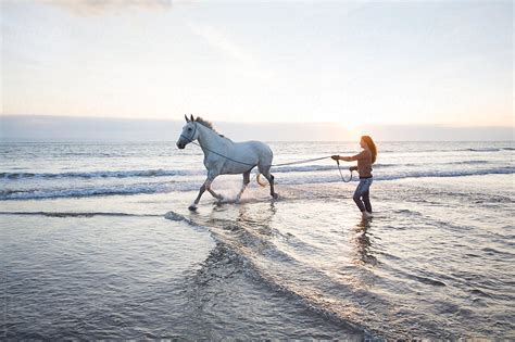 "Horse On The Beach At Sunset." by Stocksy Contributor "Hugh Sitton ...