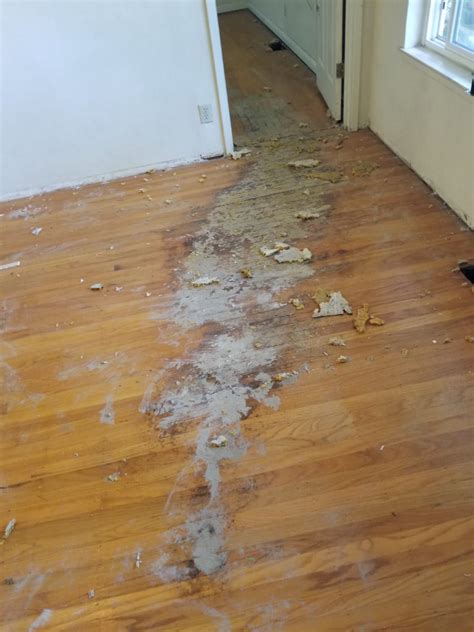 Repairing Wood Flooring with Termite Damage - Elegant Floors