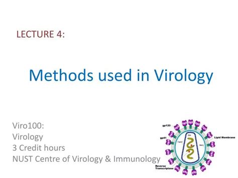 PPT - Methods used in Virology PowerPoint Presentation, free download - ID:1710270