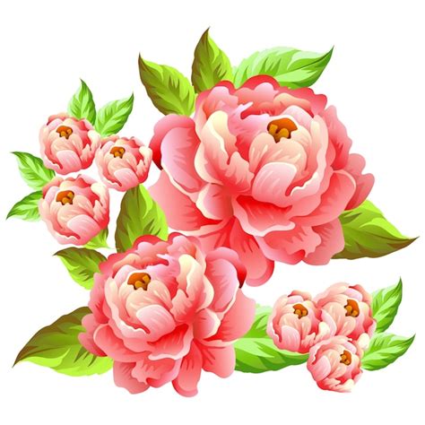 Premium Vector | Camellia flower illustration