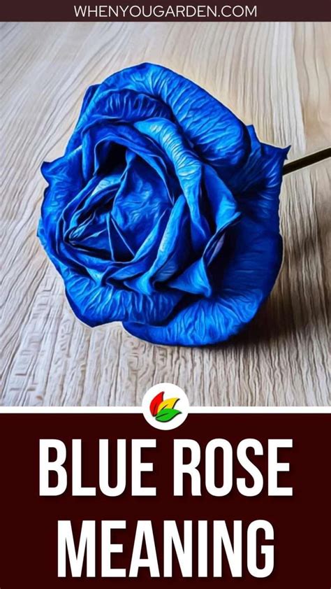 Blue Rose Meaning and Symbolism - WhenYouGarden.com