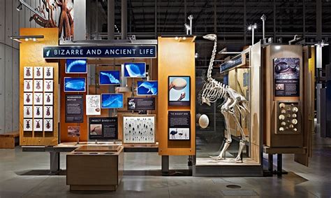 Bizarre and Ancient Life, California Academy of Sciences Exhibits ...