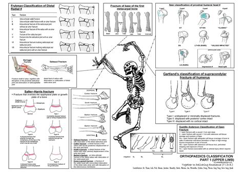 Orthopedic Fracture Classification - Upper Limbs Neer ... | GrepMed