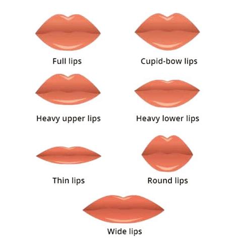 Lip Shapes Types