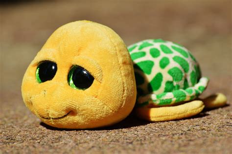 yellow and green turtle plush toy free image | Peakpx