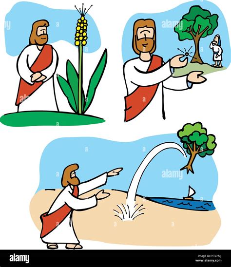 Jesus parables about the size of faith: mustard, seeds, trees and wheat Stock Vector Image & Art ...