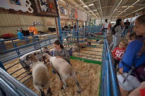 Fair Farm Department At The San Mateo County Fair