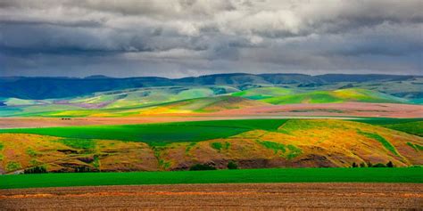 Palouse Hills from Steptoe Butte - This view of the rolling Palouse hills was taken from the ...