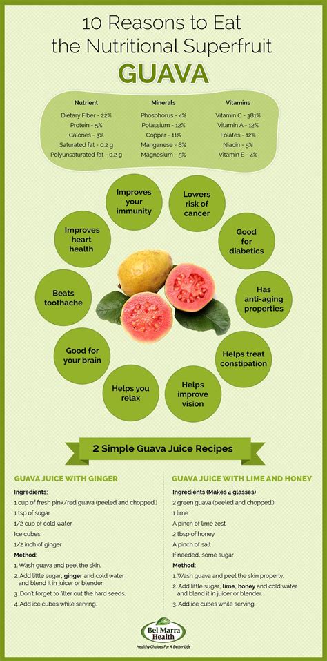 Infographic - Nutritional Benefits of Guava