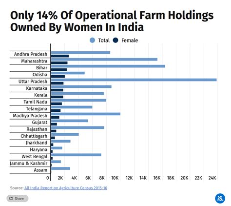 Andhra Pradesh natural farming: How women are taking a lead role in the ...