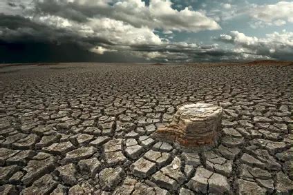 Dry Climate Facts for Kids (All You Need to Know!)