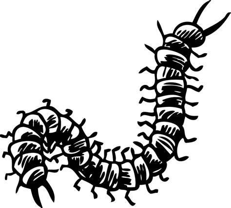 Centipede Living Room Wall Decor - TenStickers