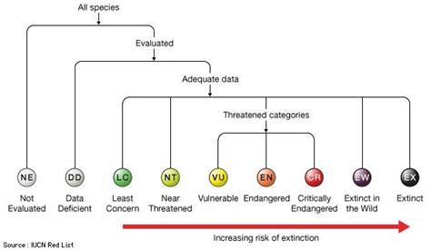 IUCN Red List of Threatened Species | Criteria & Facts | Britannica.com