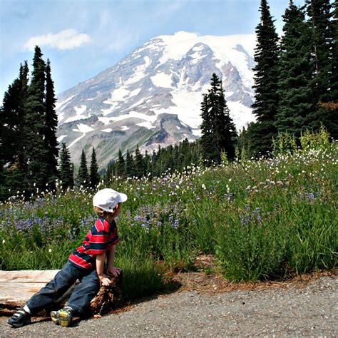 DAY TRIP: Hiking in Paradise at Mount Rainier | Northwest TripFinder