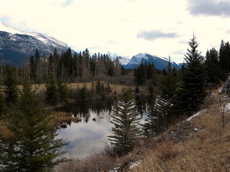 Canmore Alberta Park Free Stock Photo - Public Domain Pictures